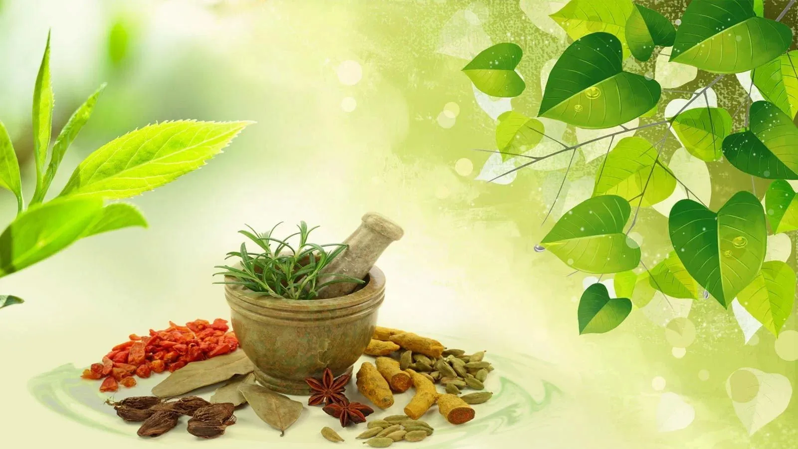 Ayurveda clinic